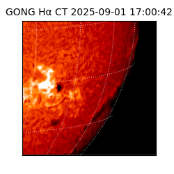 gong - 2025-09-01T17:00:42