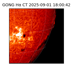gong - 2025-09-01T18:00:42