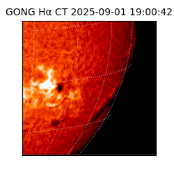 gong - 2025-09-01T19:00:42