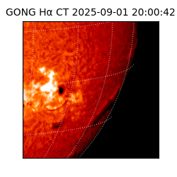 gong - 2025-09-01T20:00:42