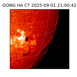 gong - 2025-09-01T21:00:42