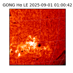 gong - 2025-09-01T01:00:42