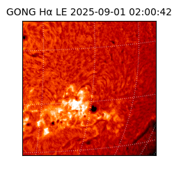 gong - 2025-09-01T02:00:42