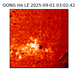 gong - 2025-09-01T03:02:42