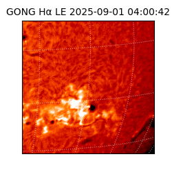 gong - 2025-09-01T04:00:42