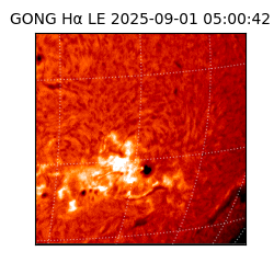 gong - 2025-09-01T05:00:42