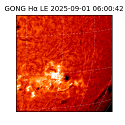 gong - 2025-09-01T06:00:42