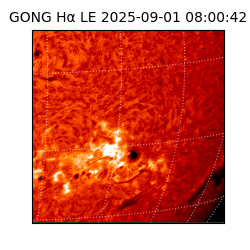 gong - 2025-09-01T08:00:42