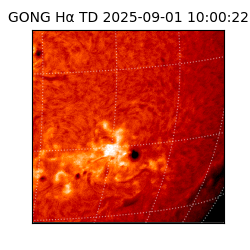 gong - 2025-09-01T10:00:22