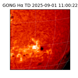 gong - 2025-09-01T11:00:22