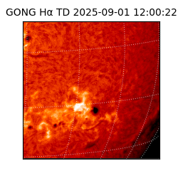 gong - 2025-09-01T12:00:22