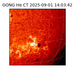 gong - 2025-09-01T14:03:42