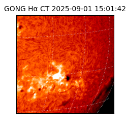 gong - 2025-09-01T15:01:42