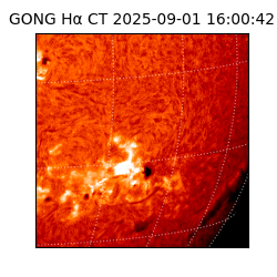 gong - 2025-09-01T16:00:42