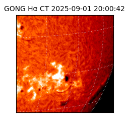 gong - 2025-09-01T20:00:42