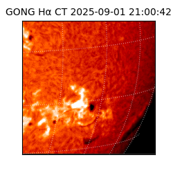 gong - 2025-09-01T21:00:42