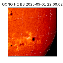 gong - 2025-09-01T22:00:02