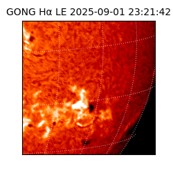 gong - 2025-09-01T23:21:42