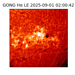 gong - 2025-09-01T02:00:42