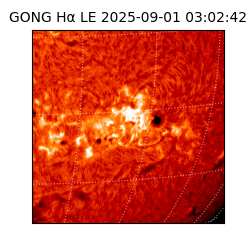 gong - 2025-09-01T03:02:42
