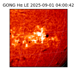 gong - 2025-09-01T04:00:42