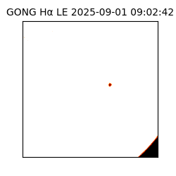 gong - 2025-09-01T09:02:42
