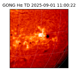 gong - 2025-09-01T11:00:22