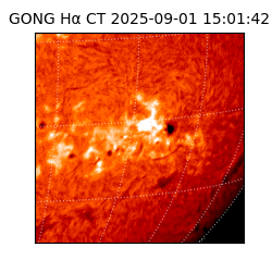 gong - 2025-09-01T15:01:42