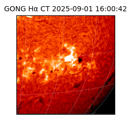 gong - 2025-09-01T16:00:42