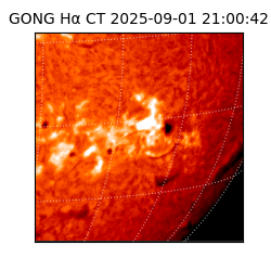 gong - 2025-09-01T21:00:42