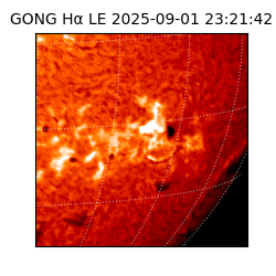 gong - 2025-09-01T23:21:42