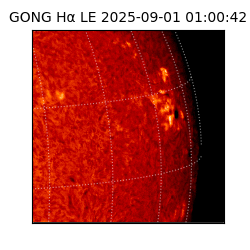 gong - 2025-09-01T01:00:42