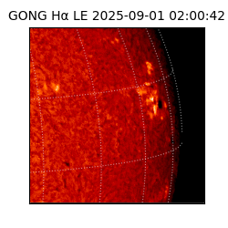 gong - 2025-09-01T02:00:42
