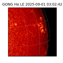 gong - 2025-09-01T03:02:42