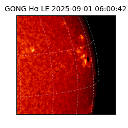 gong - 2025-09-01T06:00:42