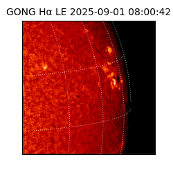 gong - 2025-09-01T08:00:42