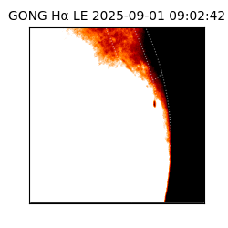 gong - 2025-09-01T09:02:42