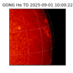 gong - 2025-09-01T10:00:22