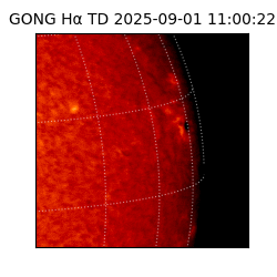 gong - 2025-09-01T11:00:22