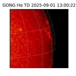 gong - 2025-09-01T13:00:22