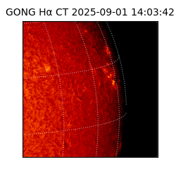 gong - 2025-09-01T14:03:42