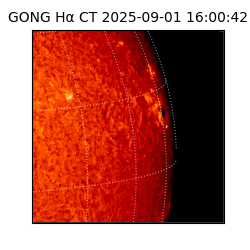gong - 2025-09-01T16:00:42