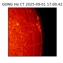 gong - 2025-09-01T17:00:42