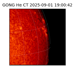 gong - 2025-09-01T19:00:42