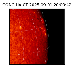 gong - 2025-09-01T20:00:42