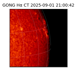 gong - 2025-09-01T21:00:42