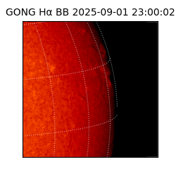 gong - 2025-09-01T23:00:02
