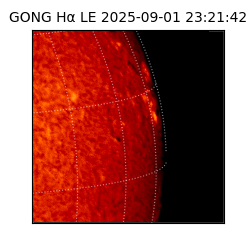 gong - 2025-09-01T23:21:42