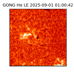 gong - 2025-09-01T01:00:42