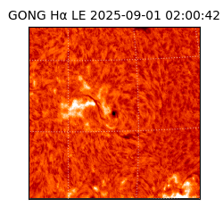 gong - 2025-09-01T02:00:42